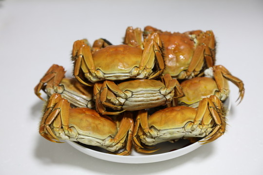 大閘蟹 美食