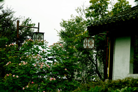 公園
