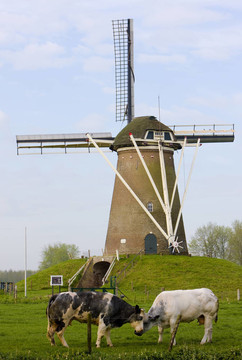 風車附近的Bronkhorst；Gelderland；荷蘭