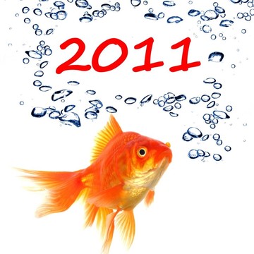 新的一年2011