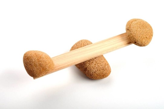 禪石鱗