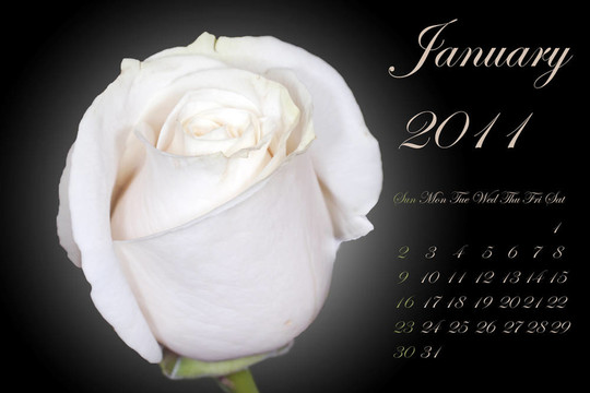 jan-11