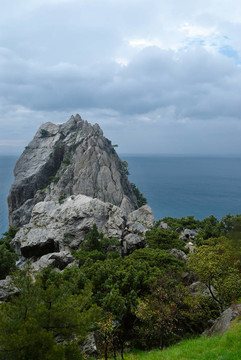 海洋