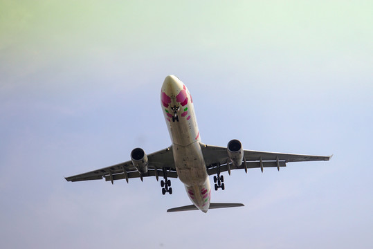 飛機起降