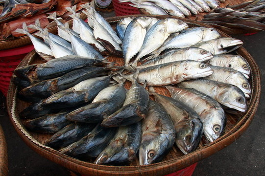 市場上的魚