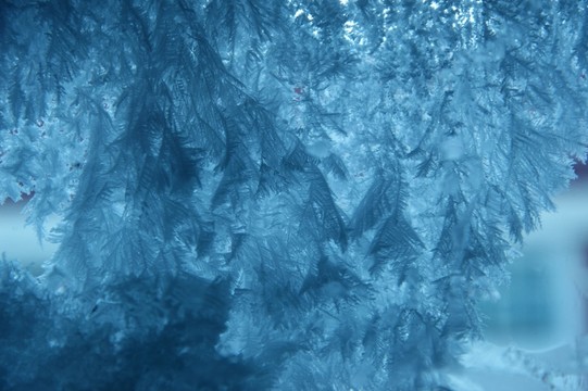 霜