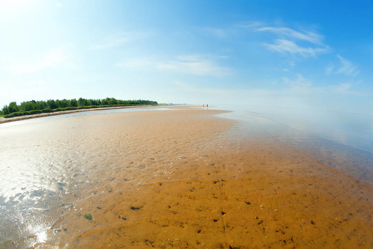 白海的海岸