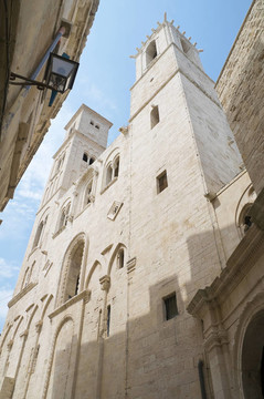 Giovinazzo的教堂。Apulia。