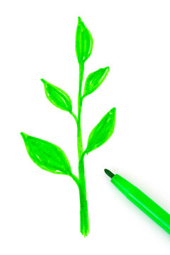 繪圖植物和筆