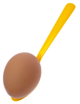 Brown Egg與