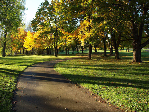 公園里的小路。