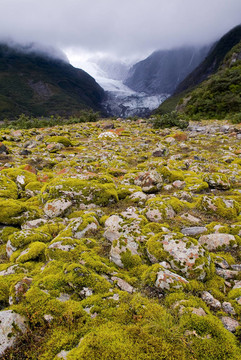 Franz Josef Glacier；新西蘭