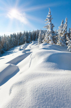 冬天的白雪覆蓋的山坡和太陽(yáng)雪