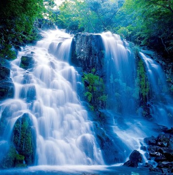 自然場(chǎng)景
