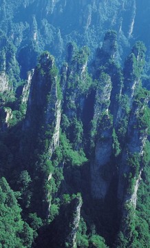 自然觀