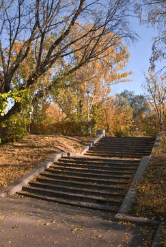 在秋天的一個(gè)公園里的樓梯。落葉覆蓋地面。反對(duì)藍(lán)天。秋天的景色