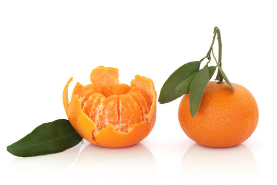 Tangerine夜店果與葉的小枝