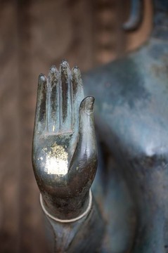 佛掌