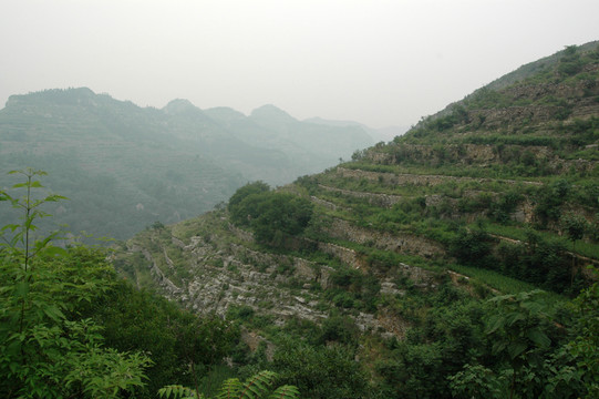 梯田