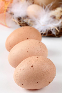褐雞和復(fù)活節(jié)雞蛋