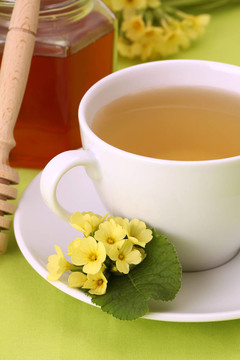 與報春花和蜂蜜涼茶