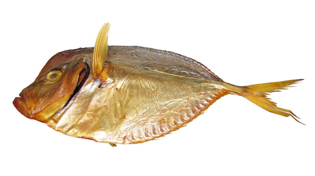 煙熏魚；腌制魚；（莫拉莫拉）