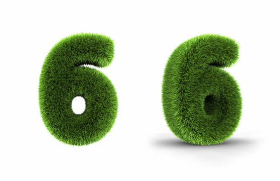 草六號(hào)