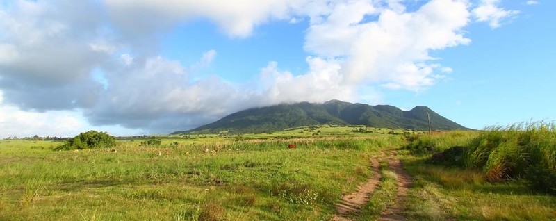 圣基茨島山liamuiga