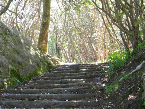 隱藏的路徑