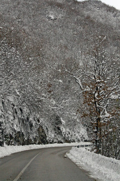 在一個寒冷的冬天完全積雪的山路