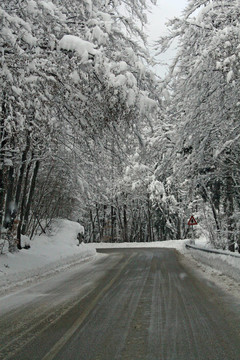 在一個寒冷的冬天完全積雪的山路