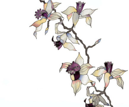 蘭花分會
