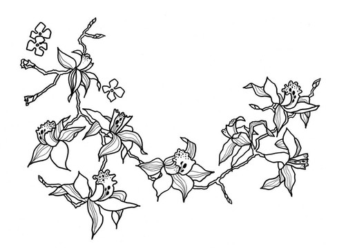 畫蘭花分會(huì)
