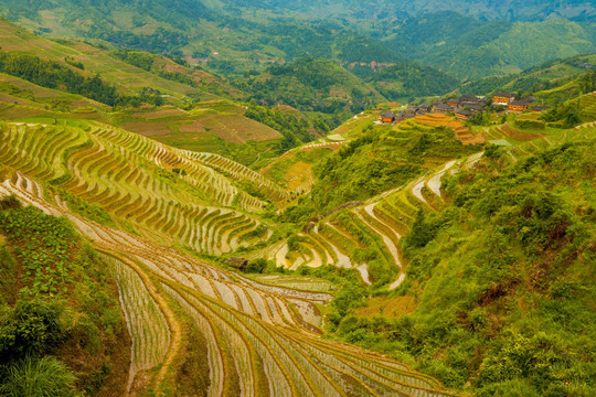 稻淹梯田傳統(tǒng)村落