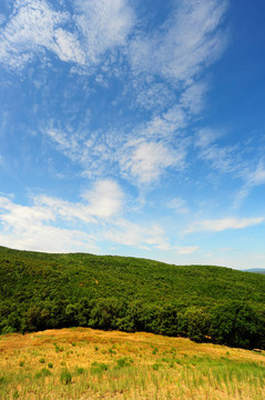 Hill在托斯卡納
