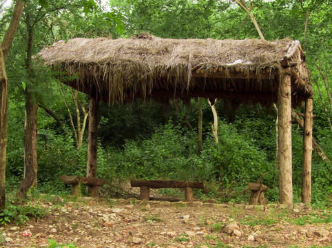 叢林小屋