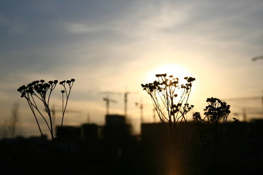 日落景觀