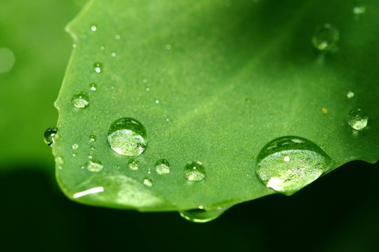 天然水