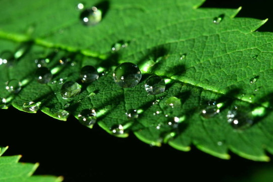 天然水