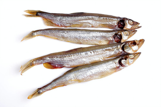 小煙熏魚(yú)