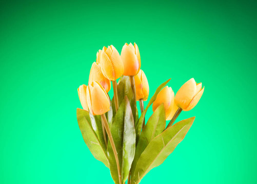 桌上五顏六色的郁金香花束