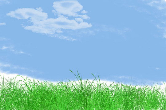 草與天空