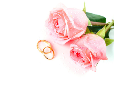 玫瑰和結(jié)婚戒指