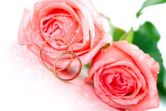 玫瑰和結(jié)婚戒指