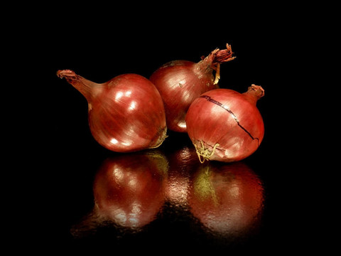 紅洋蔥