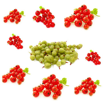 醋栗和紅醋栗漿果拼貼；