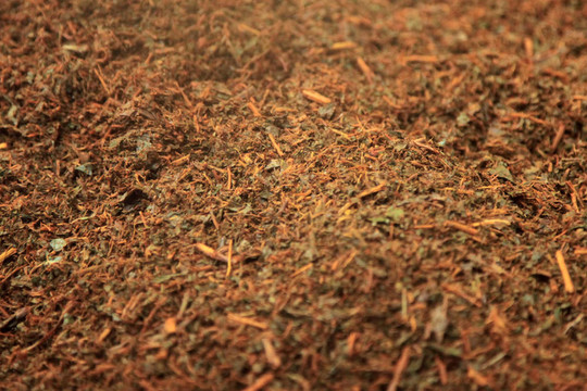 干茶茶園；馬來西亞