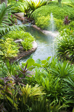 熱帶花園