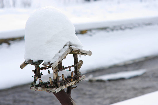 birdtable雪下在冬天
