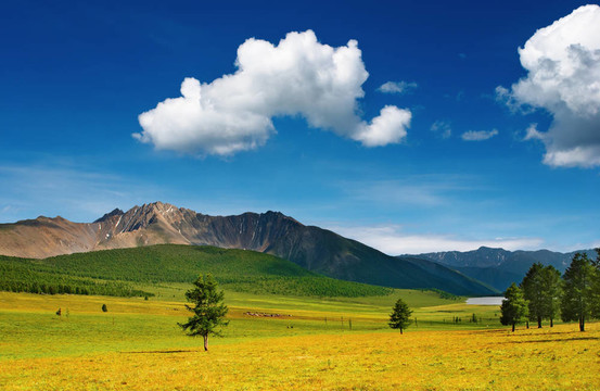 山地景觀